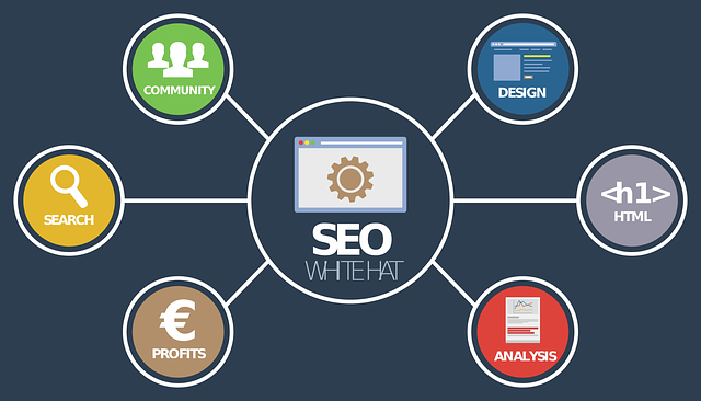 Web-Design-Seo